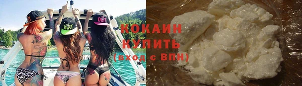 МДПВ Ветлуга