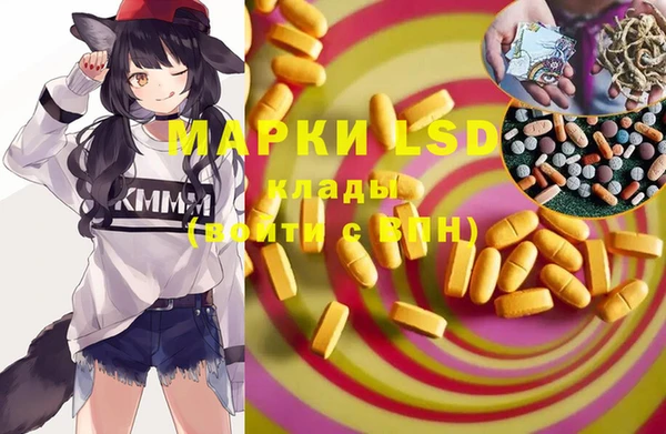 стафф Горнозаводск