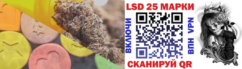 цена наркотик  Дальнегорск  LSD-25 экстази кислота 