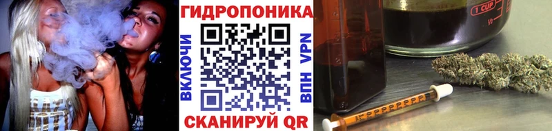 hydra рабочий сайт  Дальнегорск  Канабис OG Kush  магазин   
